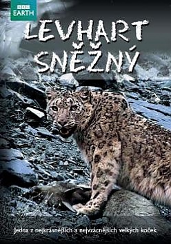 Levhart sn�n� (BBC Earth)