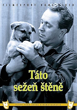 T�to se�e� �t�n�