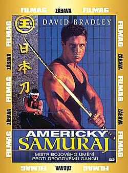 Americk� samuraj (pap�rov� obal)