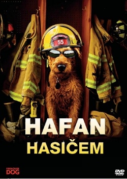 Hafan hasi�em