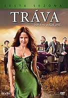 Tr�va - 6. sez�na Kolekce