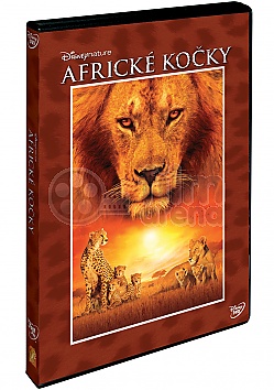Africk� ko�ky