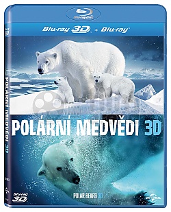 Pol�rn� medv�di 3D
