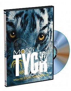Modr� tygr