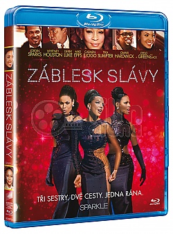 Z�blesk sl�vy