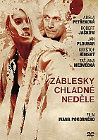 Z�blesky chladn� ned�le