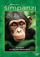 �impanzi
