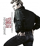 Rebel bez p���iny