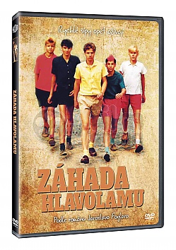 Z�hada hlavolamu