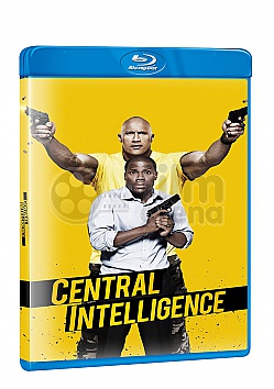 Centr�ln� inteligence