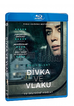 D�VKA VE VLAKU