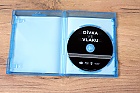 D�VKA VE VLAKU