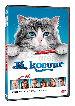 J�, KOCOUR