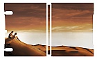 SPOJENCI Steelbook&trade; Limitovan� sb�ratelsk� edice + D�REK f�lie na SteelBook&trade;