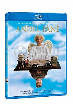 AND�L P�N�