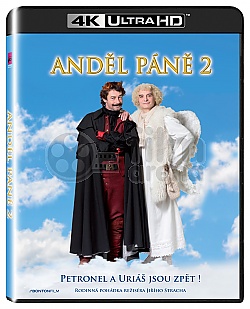 AND�L P�N� 2