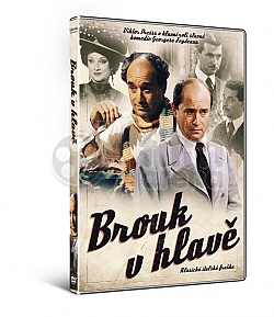 BROUK V HLAV�