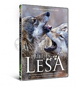 P��B�H LESA