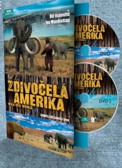 Zdivo�el� Amerika 2 DVD (pap�rov� obal)