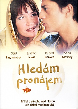 Hled�m pron�jem