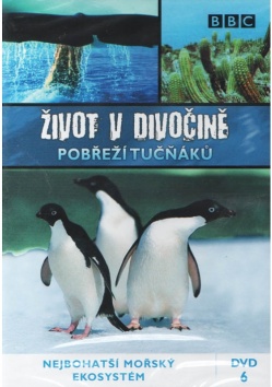 BBC �ivot v divo�in� 6 - Pob�e�� tu���k�