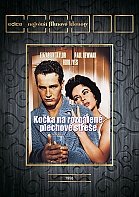 Ko�ka na rozp�len� plechov� st�e�e