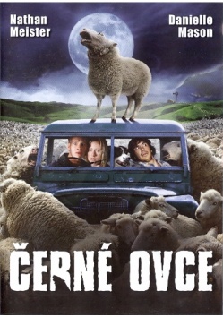�ern� ovce