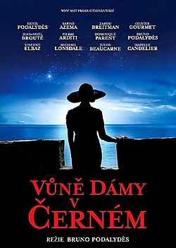 V�n� d�my v �ern�m