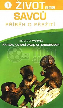 �ivot savc� - p��b�h o p�e�it� 1