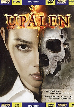 Up�len (pap�rov� obal)