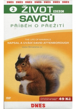 �ivot savc� - P��b�h o p�e�it� 2