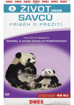 �ivot savc� - P��b�h o p�e�it� 5