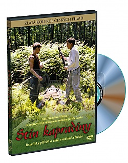 St�n kapradiny