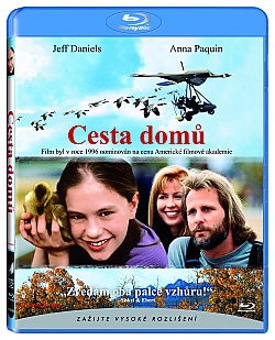 Cesta dom�