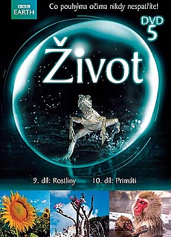 �ivot 5 BBC (Digipack)